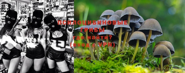 амф Горнозаводск